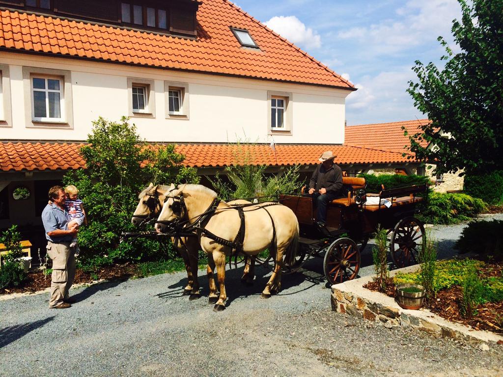 Malé Číčovice 维泊里克旅馆酒店 外观 照片