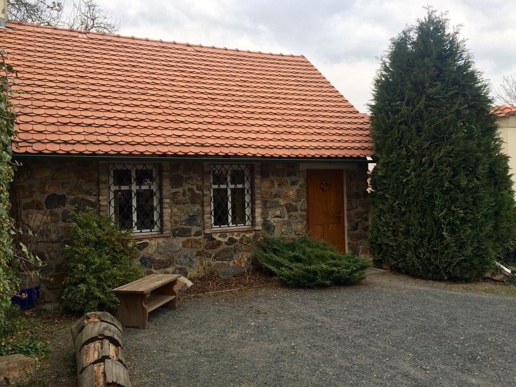 Malé Číčovice 维泊里克旅馆酒店 外观 照片